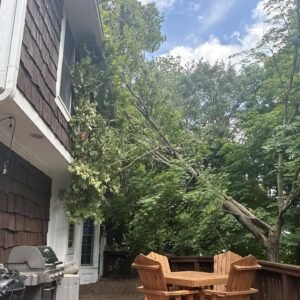 Elite Clean Restoration of Hendricks County